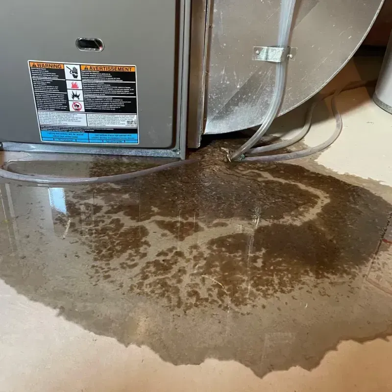 Appliance Leak Cleanup in Bethel, CT